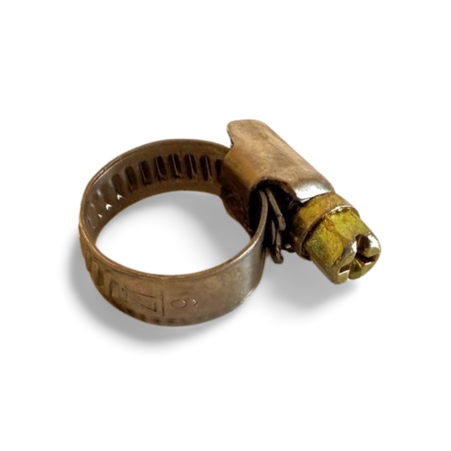 Small Hose Clamp