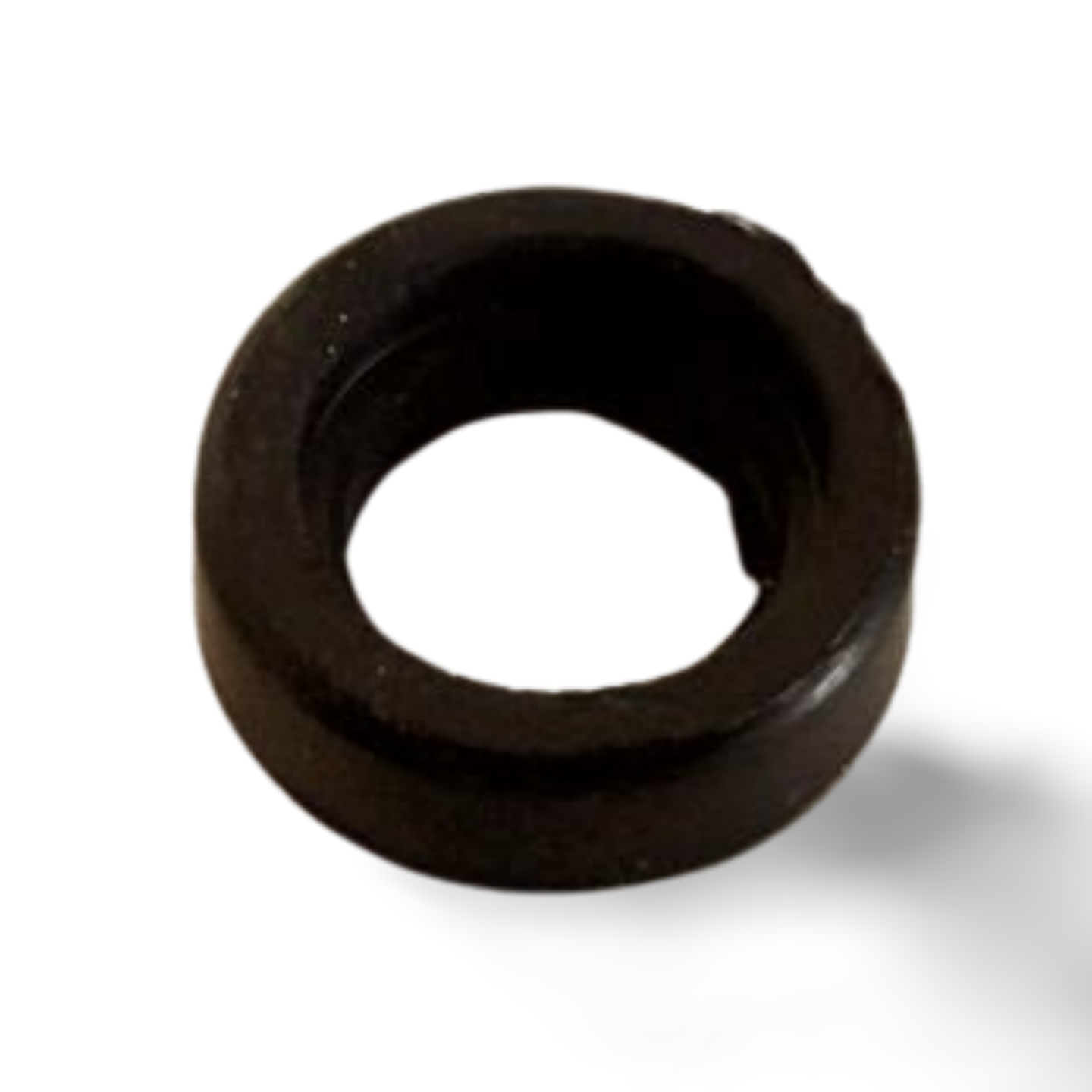 Regulator Seal